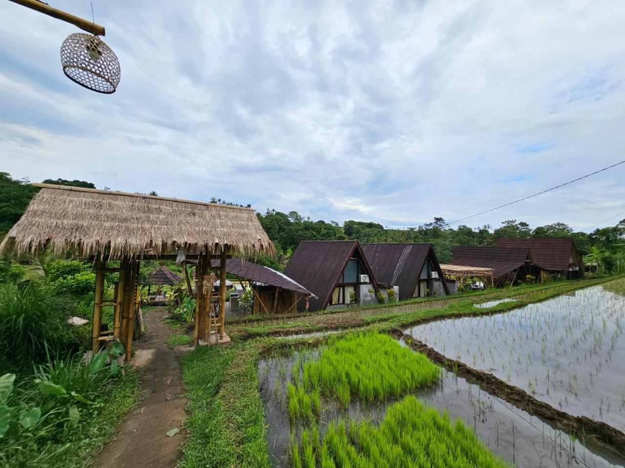 Вілла Umauthu Bali Табанан Екстер'єр фото