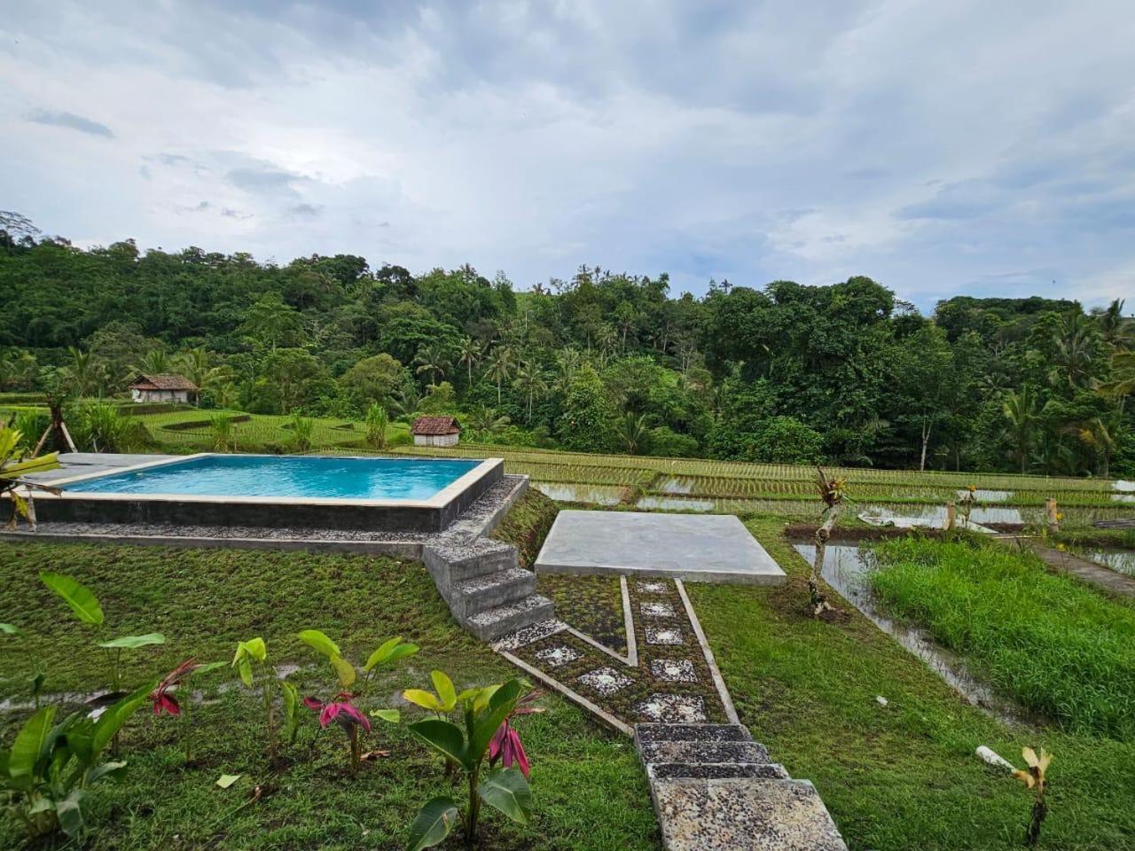 Вілла Umauthu Bali Табанан Екстер'єр фото