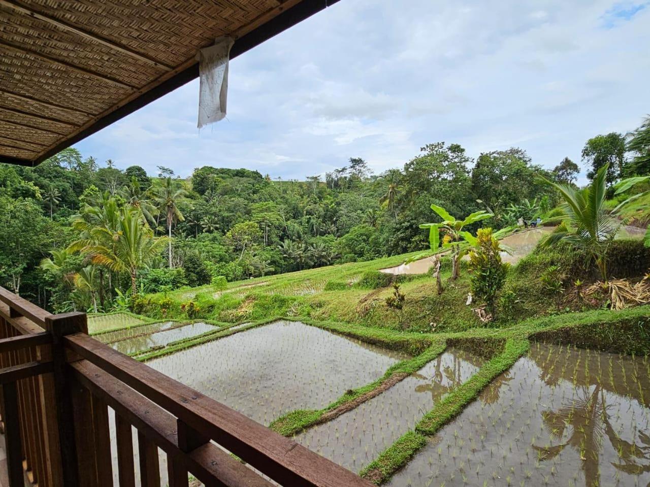 Вілла Umauthu Bali Табанан Екстер'єр фото
